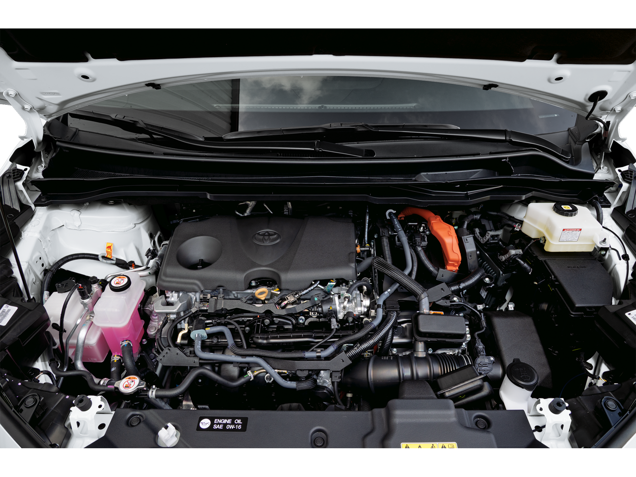 2025 Toyota Sienna Limited 7 Passenger