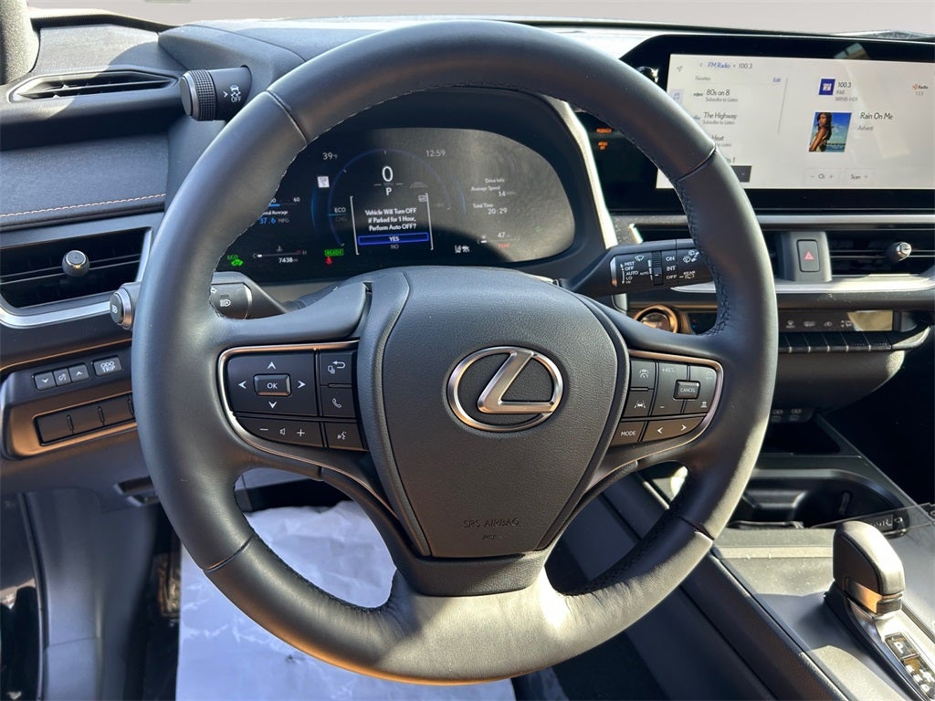 2025 Lexus UX 300h Premium