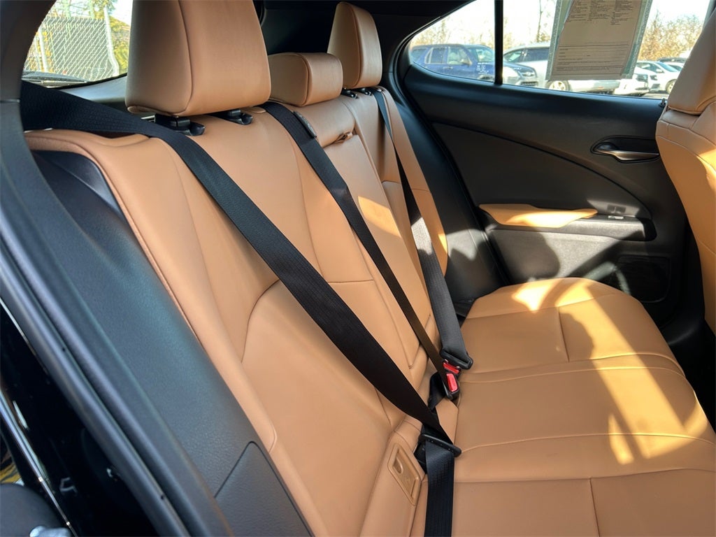 2025 Lexus UX 300h Premium