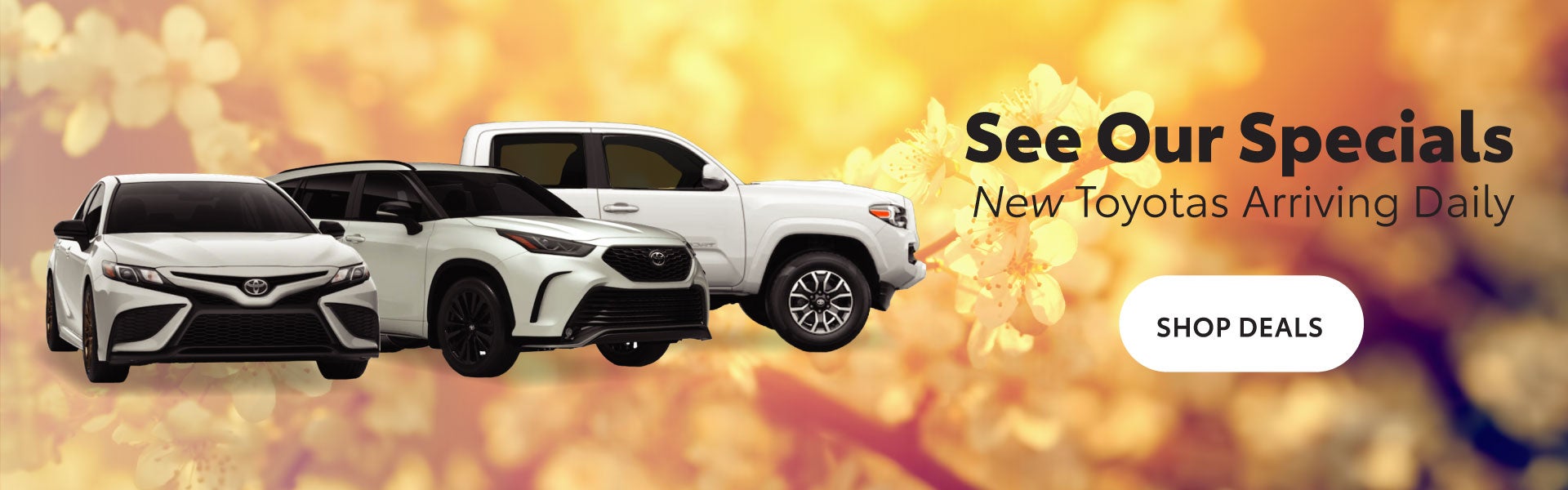 Toyota Dealership in Glenside, PA | Sloane Toyota of Glenside